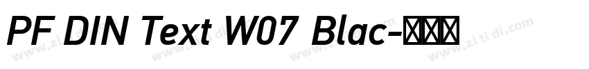 PF DIN Text W07 Blac字体转换